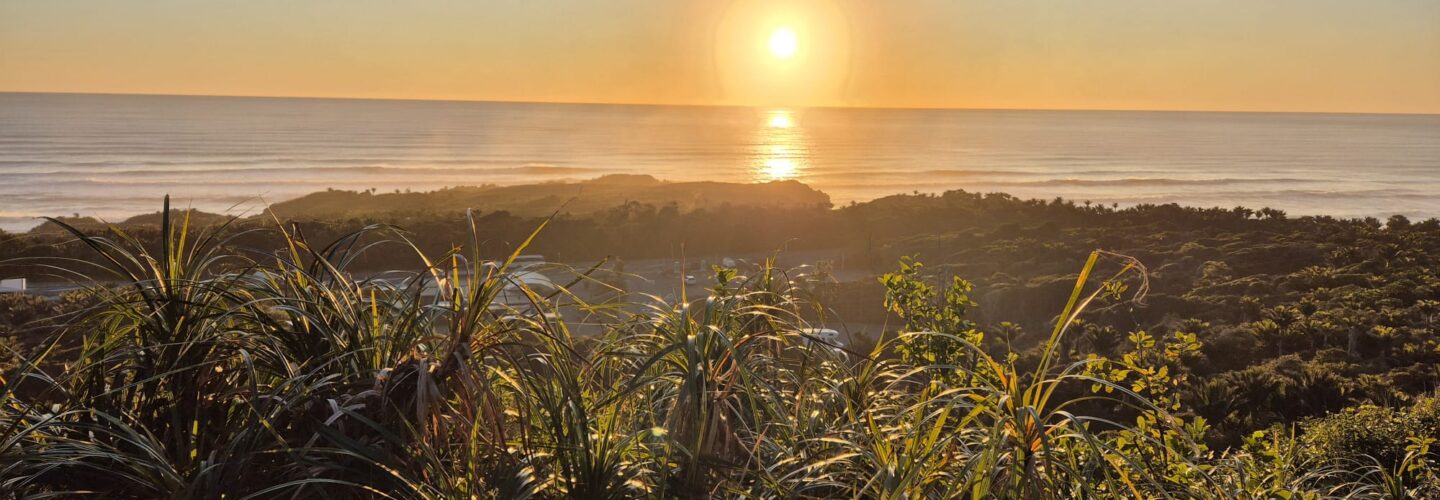 New Tracks and Punakaiki Update