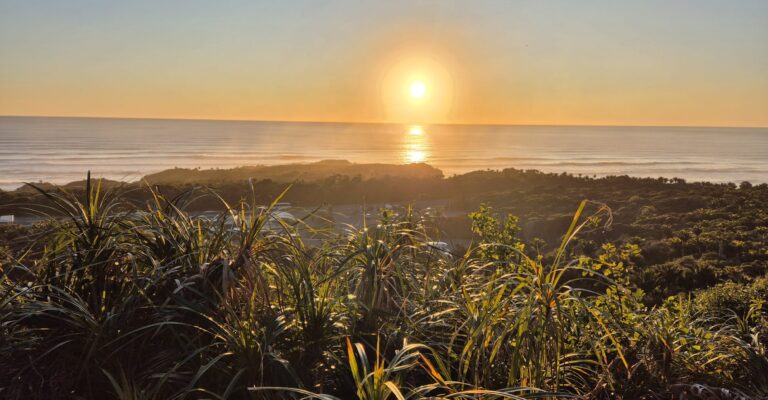 New Tracks and Punakaiki Update