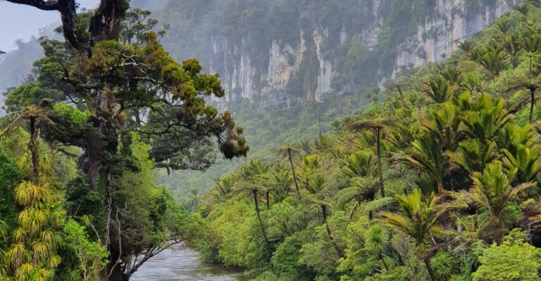 Weather Insights at Punakaiki: What to Expect Through the Seasons