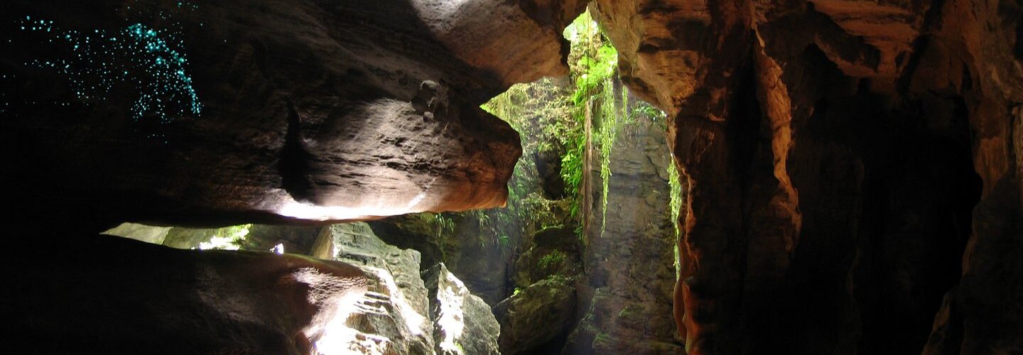 Top 5 Paid Activities in Punakaiki