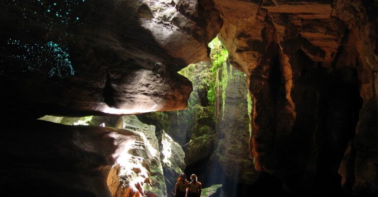 Top 5 Paid Activities in Punakaiki