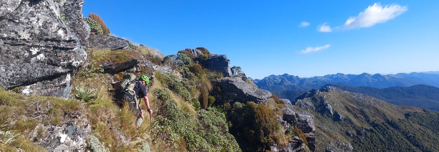 Advanced Hiking Trails Near Punakaiki