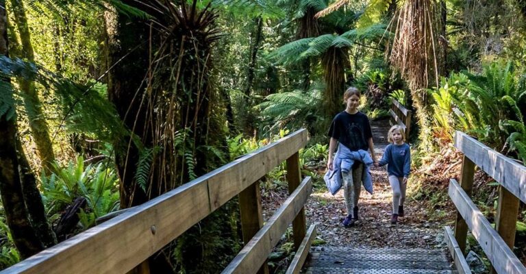 Top 5 things to do with Families