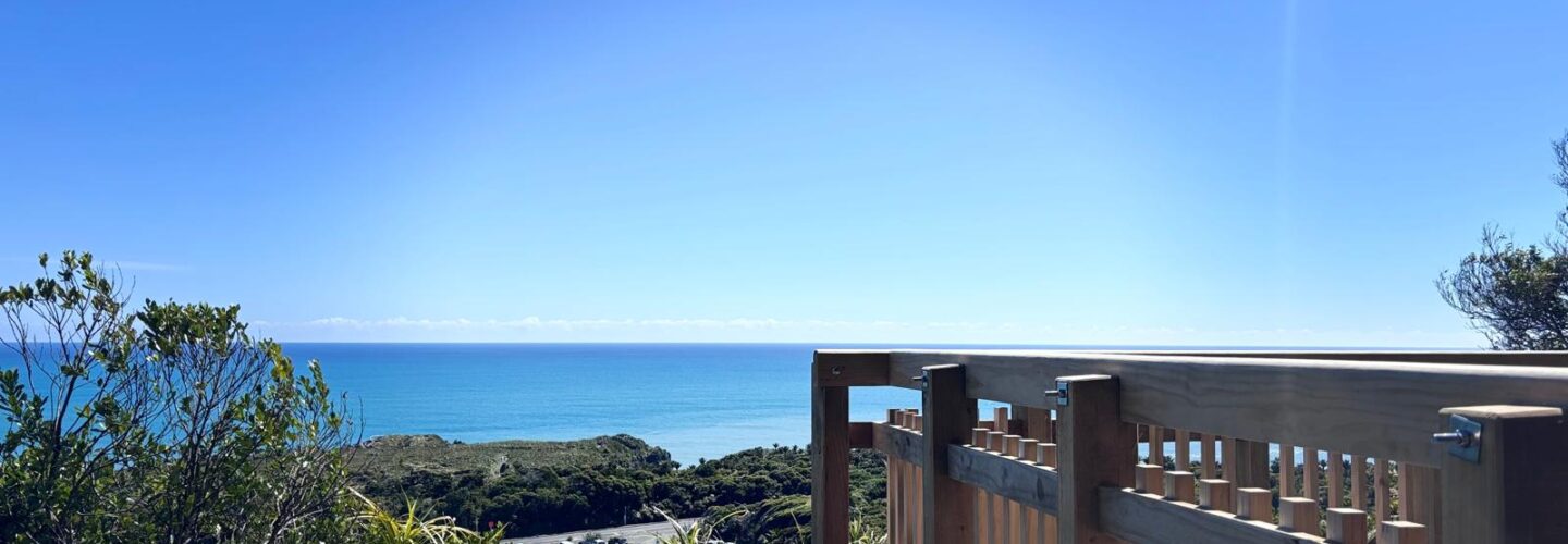 New Tracks and Punakaiki Update